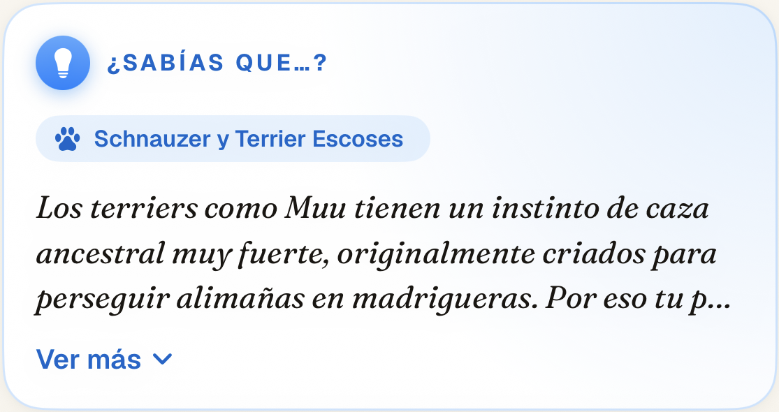 Tarjeta ¿Sabías que…? de Peluditoos App: un dato sobre la raza de Muu, un schnauzer y terrier escocés, con su etiqueta de raza y la opción de ver más.